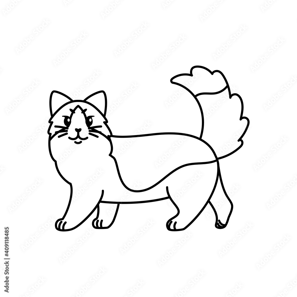 Isolated outline of a cat - Vector illustration