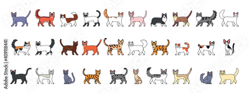 Set of a cats cartoon. Cats breeds - Vector illustratrion