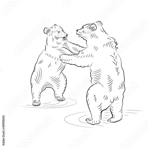 Sketch. Battle of two standing up bears.