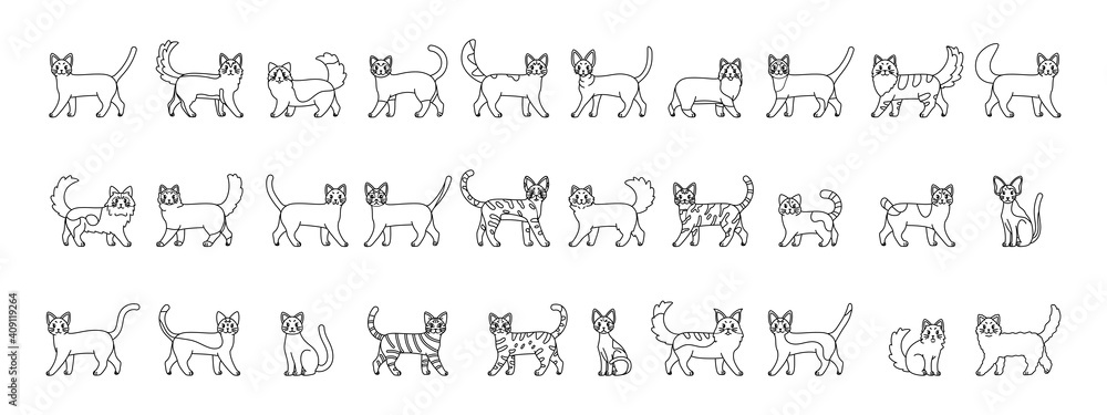Set of cats outlines. Cats breeds - Vector illustration