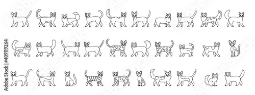 Set of cats outlines. Cats breeds - Vector illustration