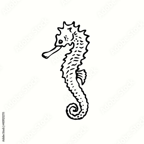 Seahorse side view. Ink black and white doodle drawing in woodcut outline style. Vector illustration