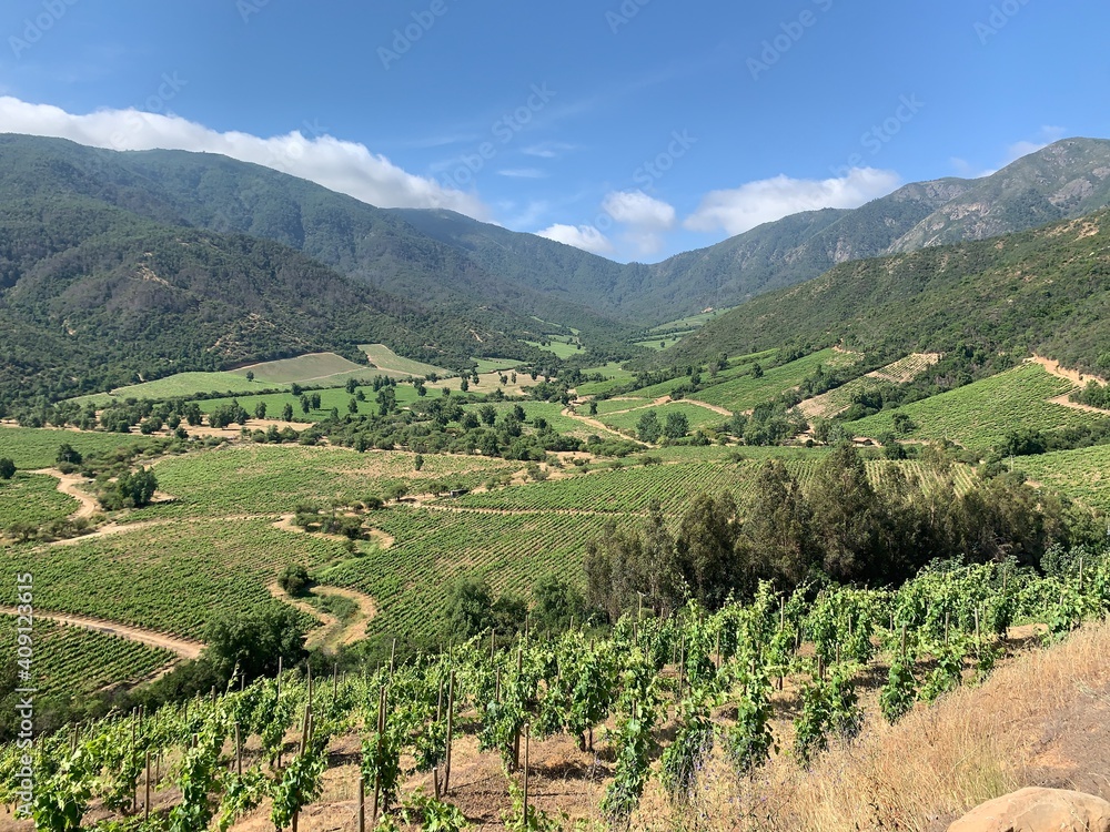 Chilean vineyard part of the wine route, Ventisquero.  Colchagua Valley, Apalta, Santa Cruz, Chile, South America. 