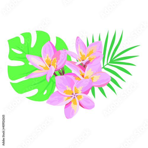 Composition of tropical flowers and leaves on a white background. Frangipani flowers, monstera leaf, palm leaf. Card with floral illustration