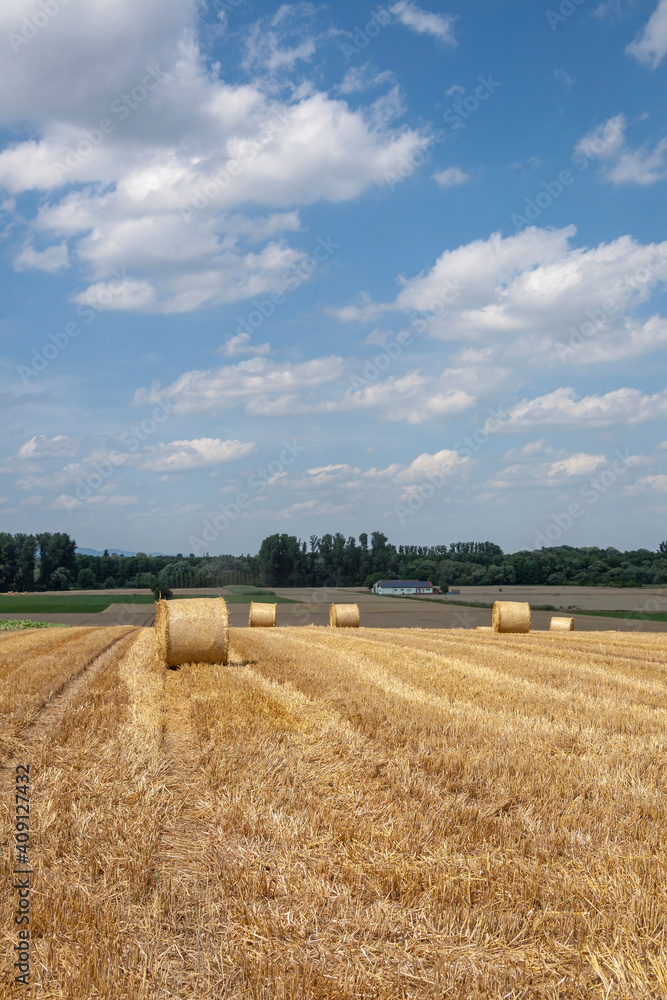 Fototapeta premium Stoppelfeld, Wolkenhimmel