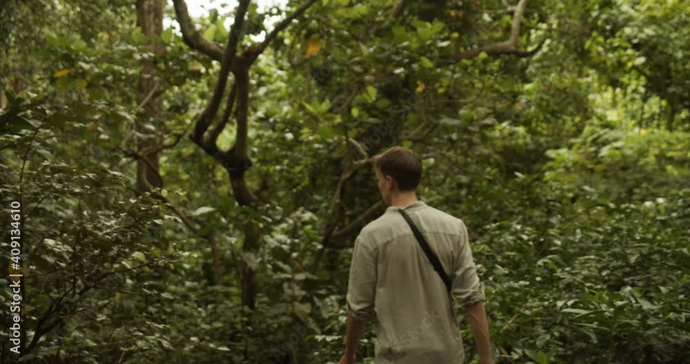 Young caucasian man in khaki shirt walking through a tropical rainforest in Bali alone Young caucasian man in khaki shirt walking through a tropical rainforest in Bali alone