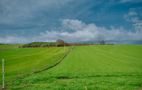 Magnificent green grass on small hill and huge clouds top of it. Dried trees top of the hill. Agricultural field before harvesting. Photo is taken from low angle through sky.