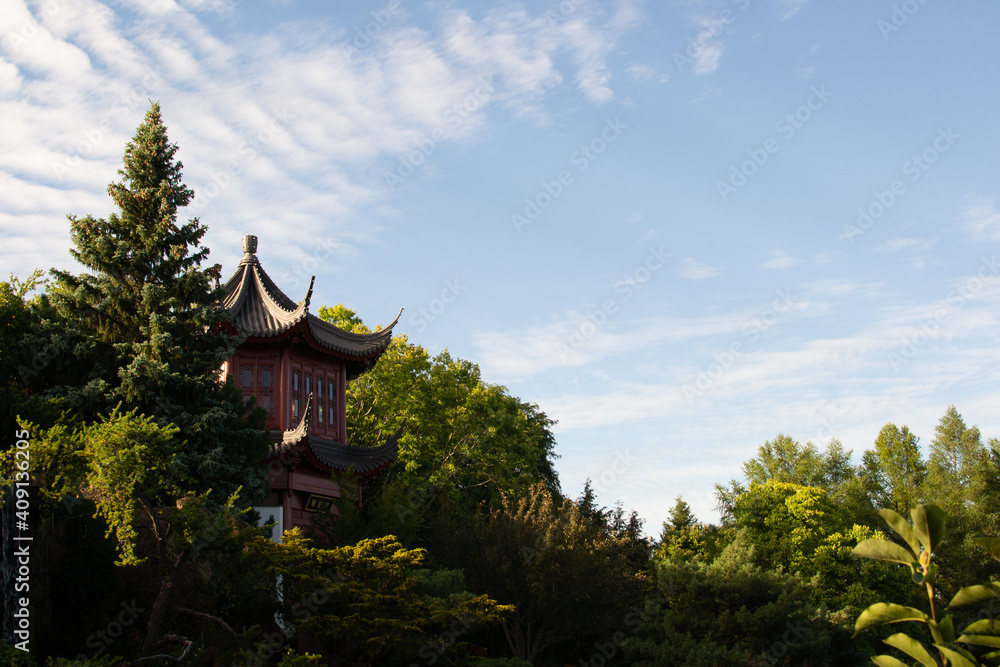 casa japonesa en el bosque