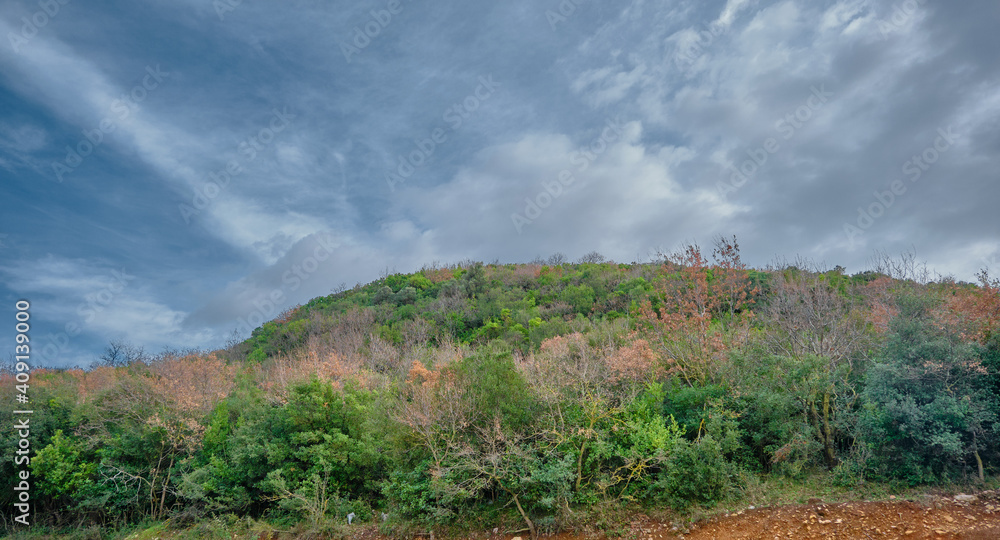 Many different tones of green and brown colors on the plant of small hill with huge and magnificent sky background.