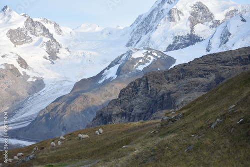Snowy Peak in Switzerland