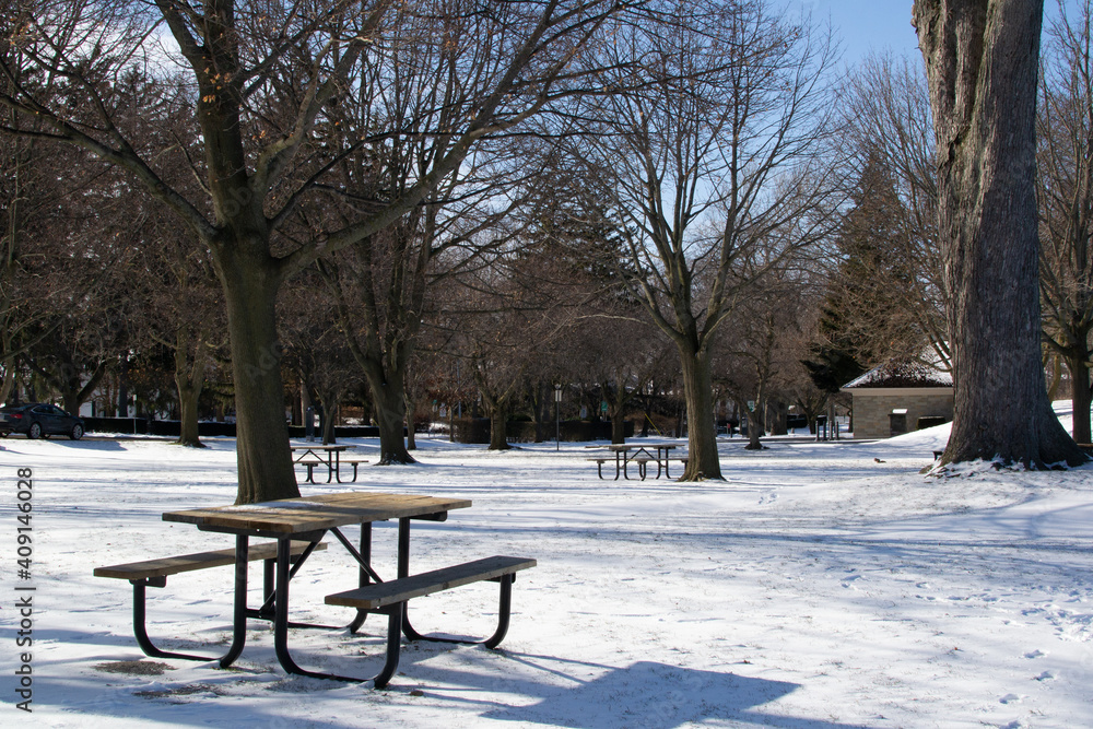 parque en el invierno