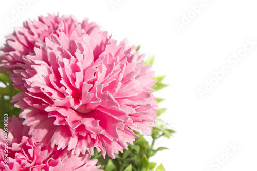 pink carnation flower made from soap on white background. pink cloves flowers .