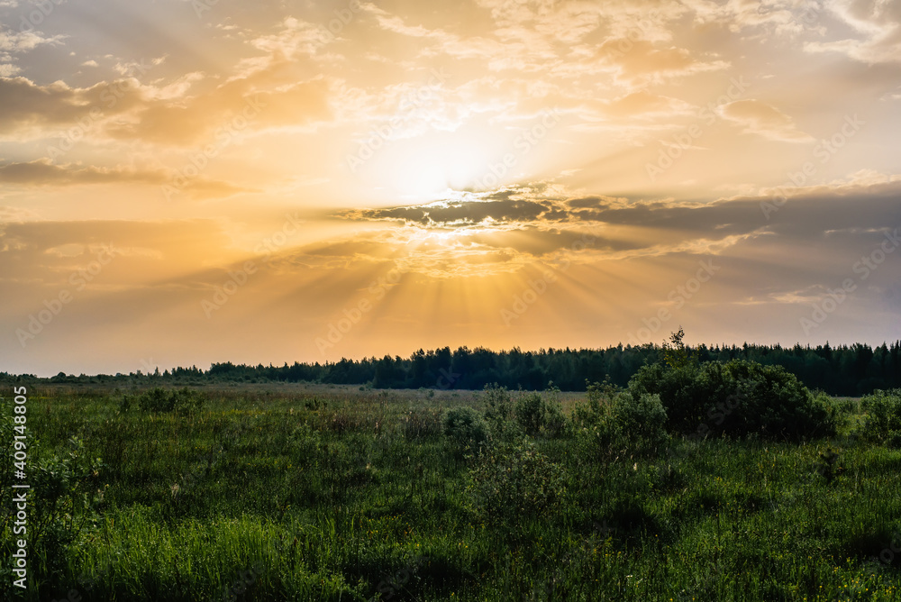 orange yellow sun rays on the Golden sky at dawn or sunset in summer over the meadow