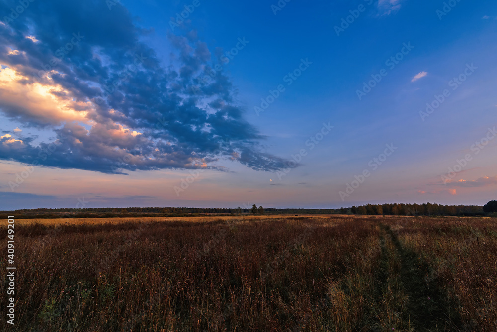 calm evening landscape in a field with forest on the horizon with clouds and moon in the sky
