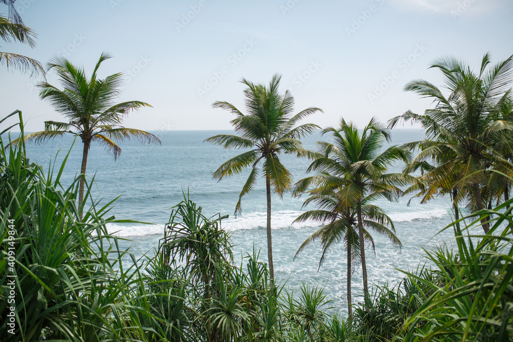 Ocean and palm trees on the shore. Ocean and palm trees on the shore.