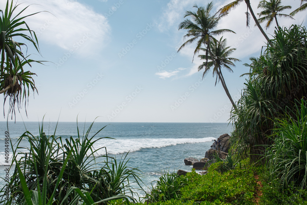 Ocean and palm trees on the shore. 