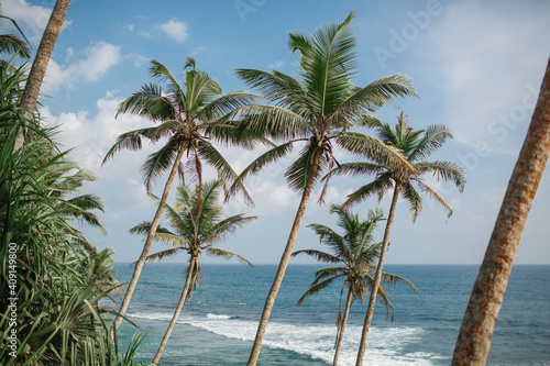 Ocean and palm trees on the shore.  © vov8000