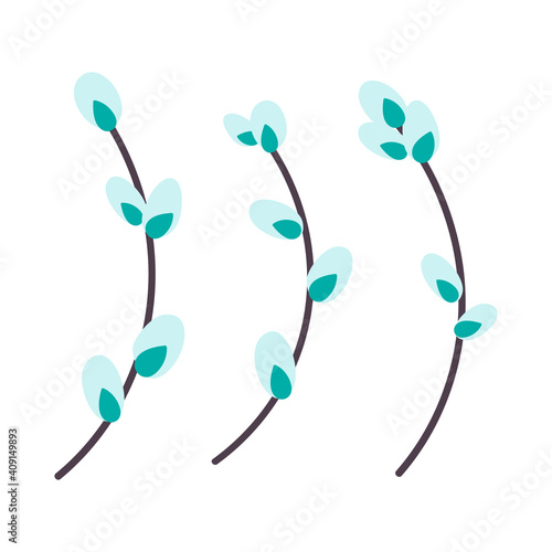  Willow twig isolated on a white background. Easter willow.Flat vector illustration. Design for Easter, packaging