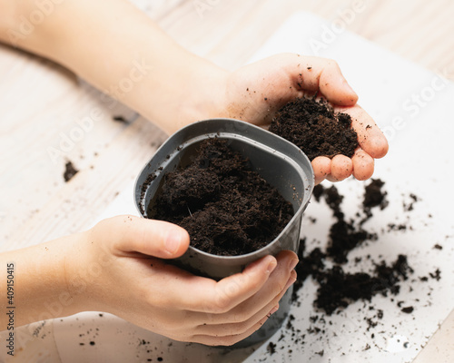 kid is planting seeds in pot with soil. concept of gardening, farming. Selective focus