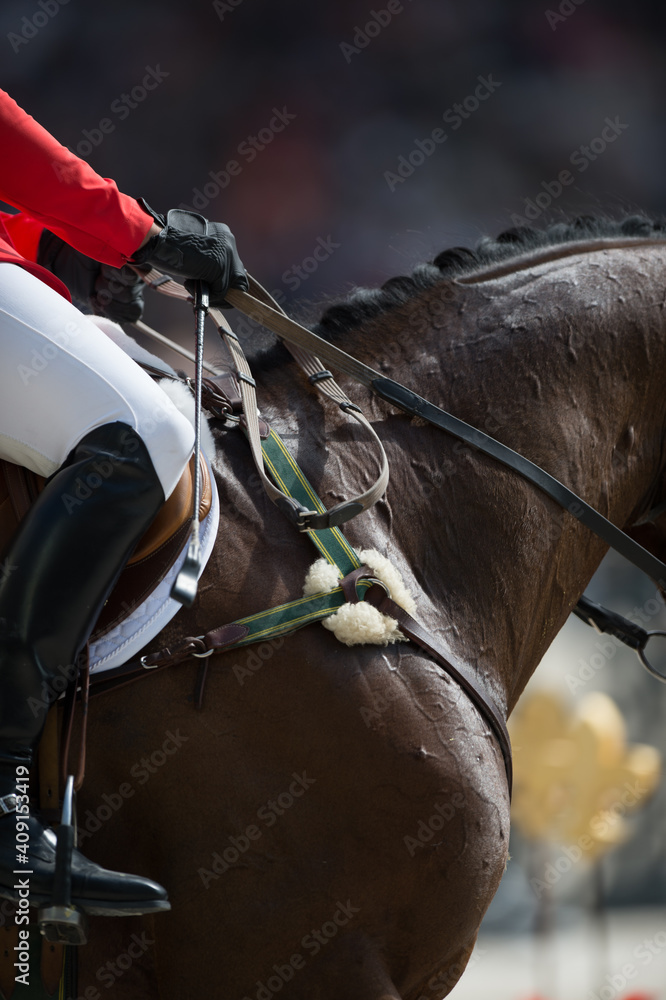 show jumping rider cropped close to show leg hands and tall black boots