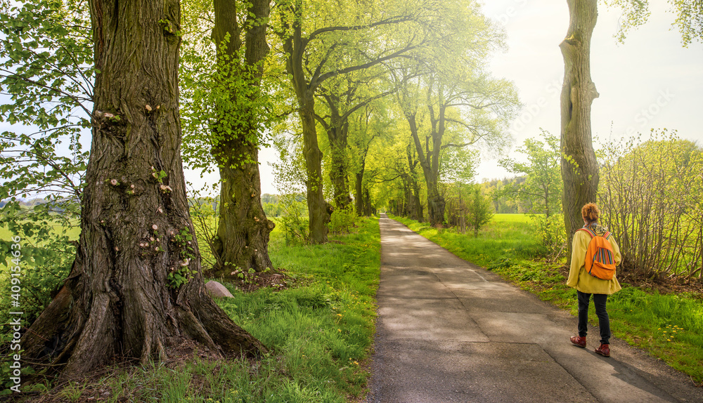 Eine schmale Strasse führt durch eine Landschaft im Land Brandenburg. Es ist Sonnenschein im Frühling. Eine Frau macht eine Wanderung.