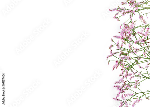 Beautiful flower background of gypsophila flowers