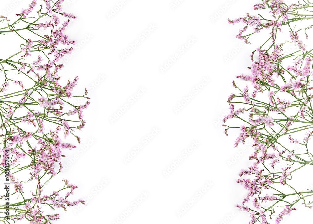 Beautiful flower background of gypsophila flowers