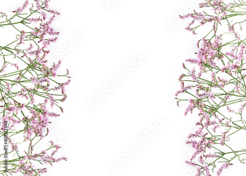 Beautiful flower background of gypsophila flowers