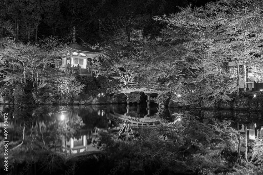 Beautiful japanese garden with colorful maple trees in Daigoji temple in autumn season, Kyoto, Japan