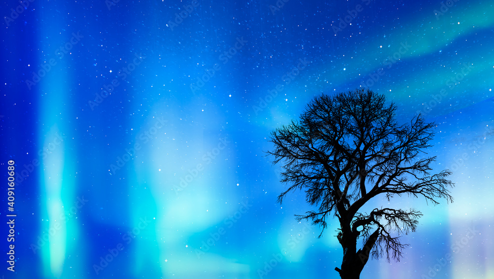 Beautiful landscape with lone tree in the background aurora borealis Beautiful landscape with lone tree in the background aurora borealis