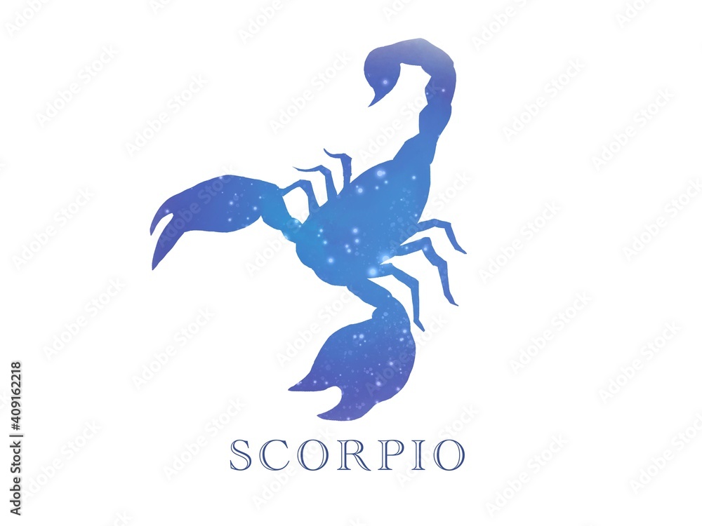 さそり座シルエットイラスト Stock Illustration Adobe Stock