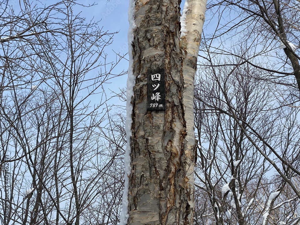 Fototapeta premium 四ツ峰 山頂