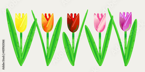 Vector multicolour tulips clip art set.