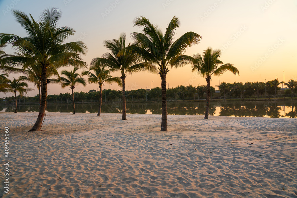 Emty sandbank along river with coconut trees