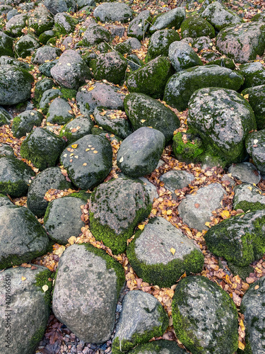 coastal stones in moss. river stones, fall foliage
