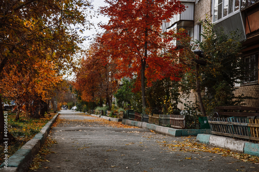 Naklejka premium Deserted autumn street of a residential area, leaf fall and bright leaves on tree branches