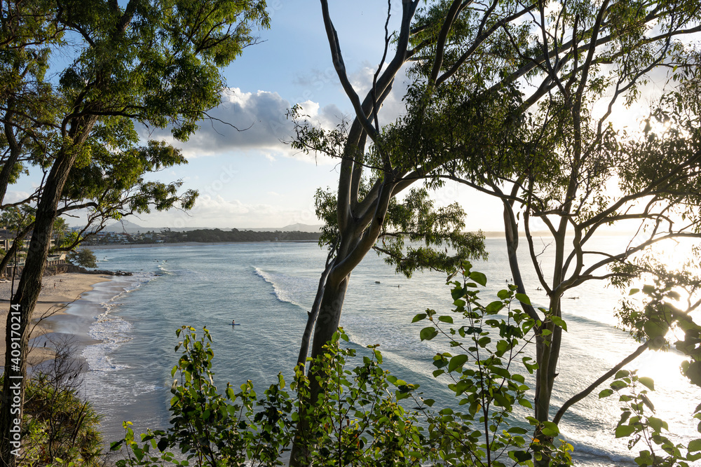 Beach, surfers, tress, and ocean, Noosa, Queensland, Australia