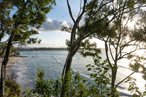 Beach  surfers  tress  and ocean  Noosa  Queensland  Australia