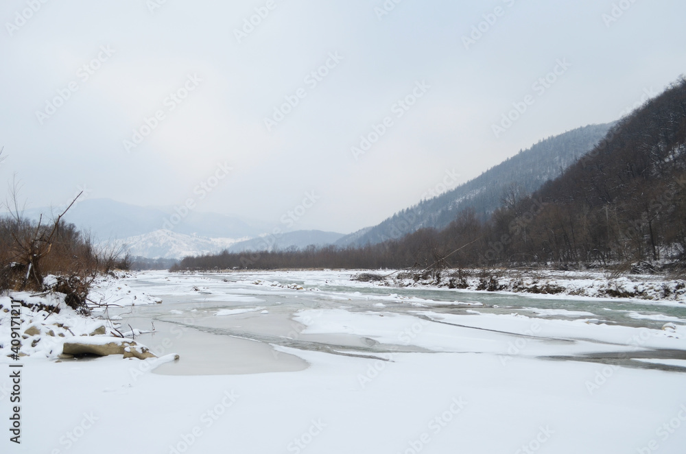 mountain river in wintertime. carpathian landscape with spruce forest and snow covered shore ukraine