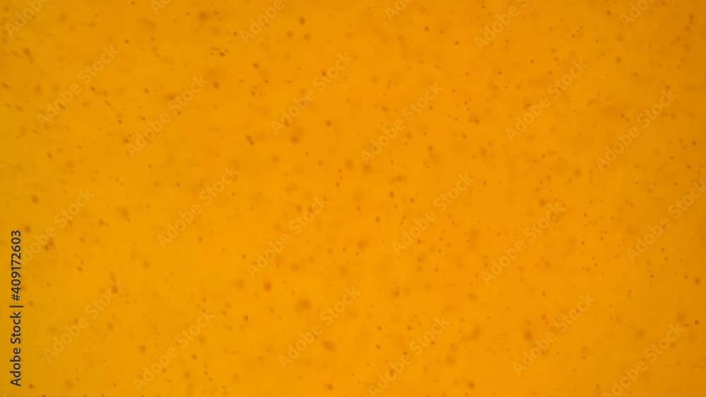 Shaking bubbles movement and then rising up inside a bottle with orang liquid Shaking bubbles movement and then rising up inside a bottle with orang liquid