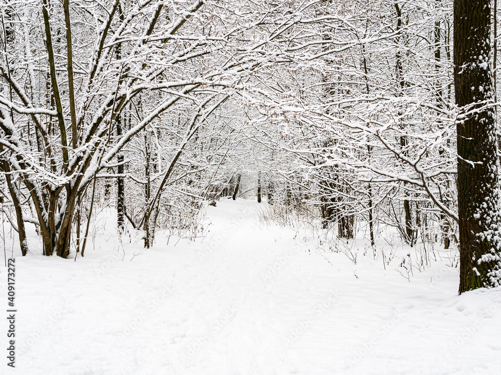 Fototapeta premium pathway in snow in snowy city park on overcast winter day