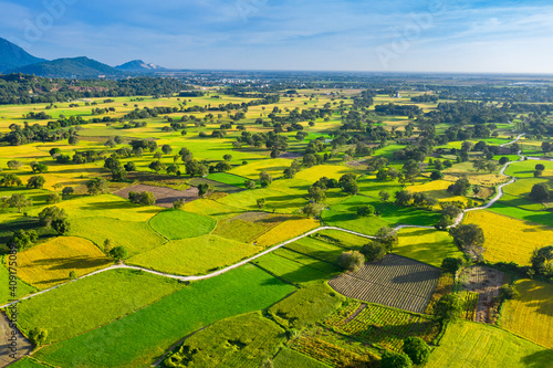 Aerial image of ripen rice fileds in Ta Pa, Bay Nui , An Giang - Vietnam
 photo