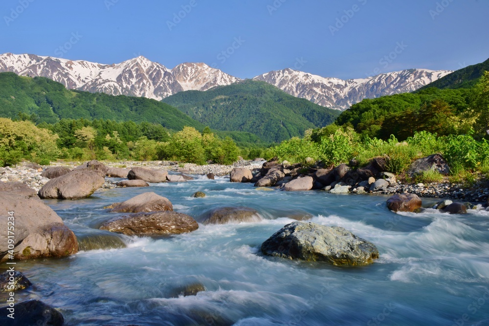 Fototapeta premium 北アルプスの麓 白馬村 新緑の季節 