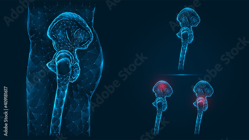 Polygonal illustration of human pelvic and hip bones side view. Disease, pain and inflammation of the pelvis and hip joint. Low poly human leg bones model isolated on dark blue background