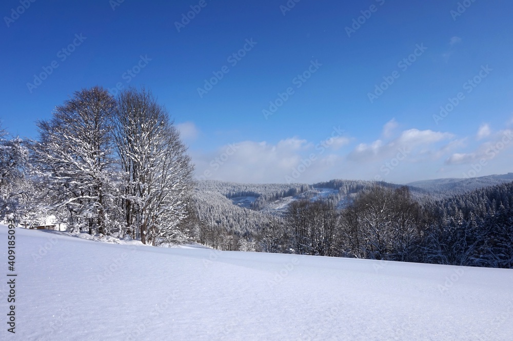 Obraz premium Beautiful winter landscape with a snow, trees and blue sky