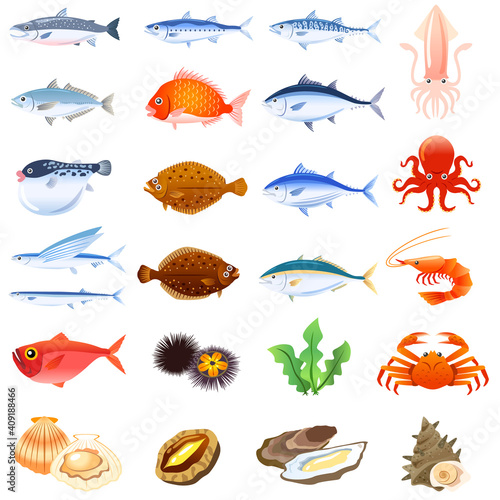 海鮮セット　魚介類　食べ物