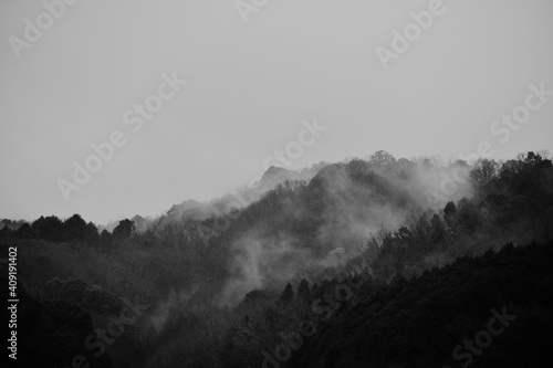 山の靄（モノクロ）