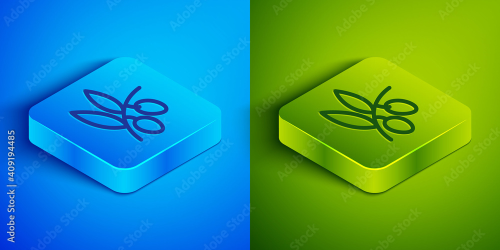 Isometric line Olives branch icon isolated on blue and green background. Square button. Vector. Isometric line Olives branch icon isolated on blue and green background. Square button. Vector.
