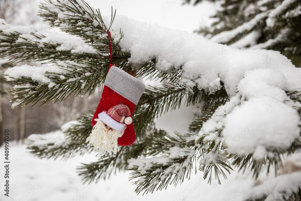 christmas gift sock hanging on christmas tree christmas gift sock hanging on christmas tree