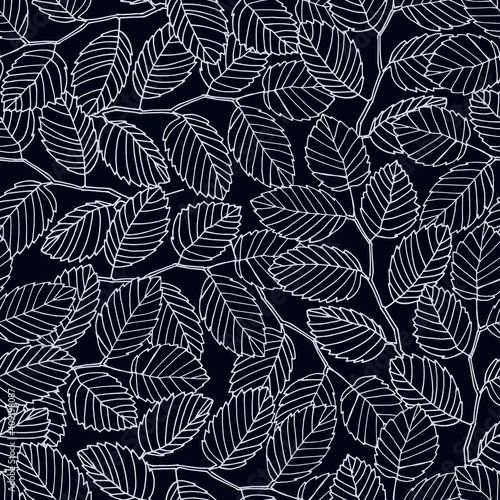 Seamless pattern with elm tree branches and leaves on black background for surface design and other design projects. Monochrome realistic line art